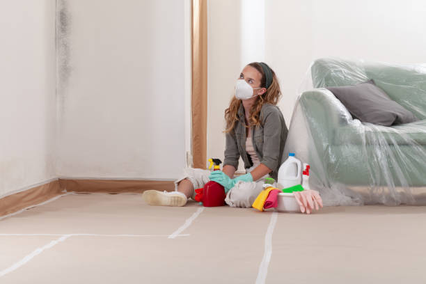Reliable Black Mold Removal contractor in Accident, MD by WQB Mold Removal